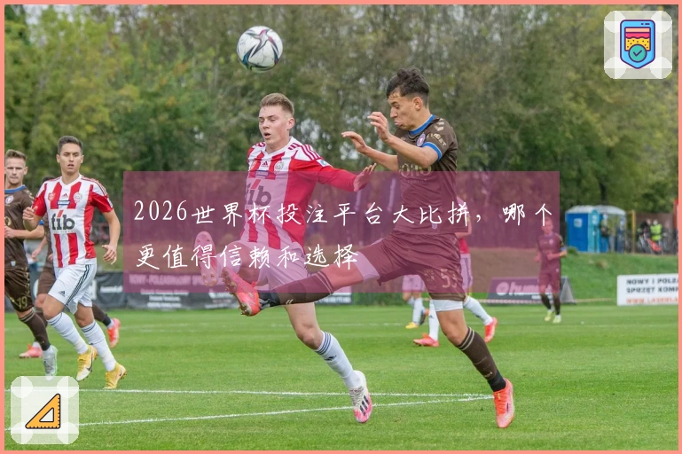2026世界杯投注平台大比拼，哪个更值得信赖和选择
