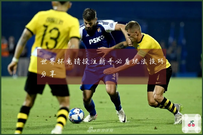 世界杯竞猜投注新手必看玩法技巧分享