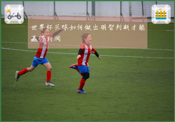 世界杯买球如何做出明智判断才能赢得利润