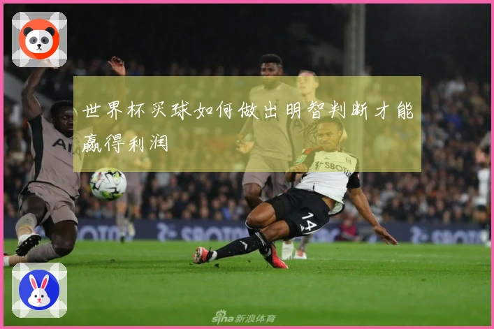 世界杯买球如何做出明智判断才能赢得利润